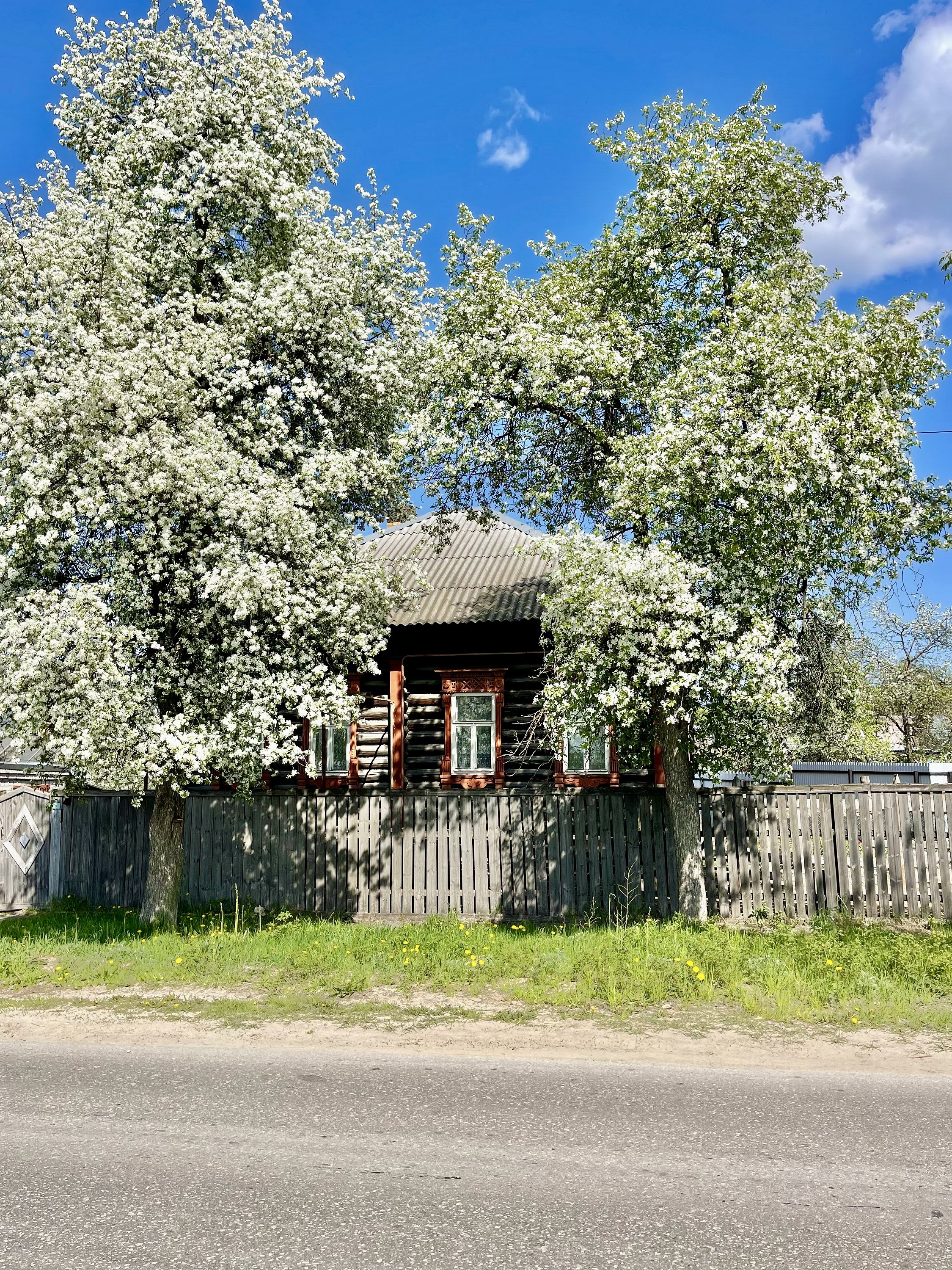 Семенов