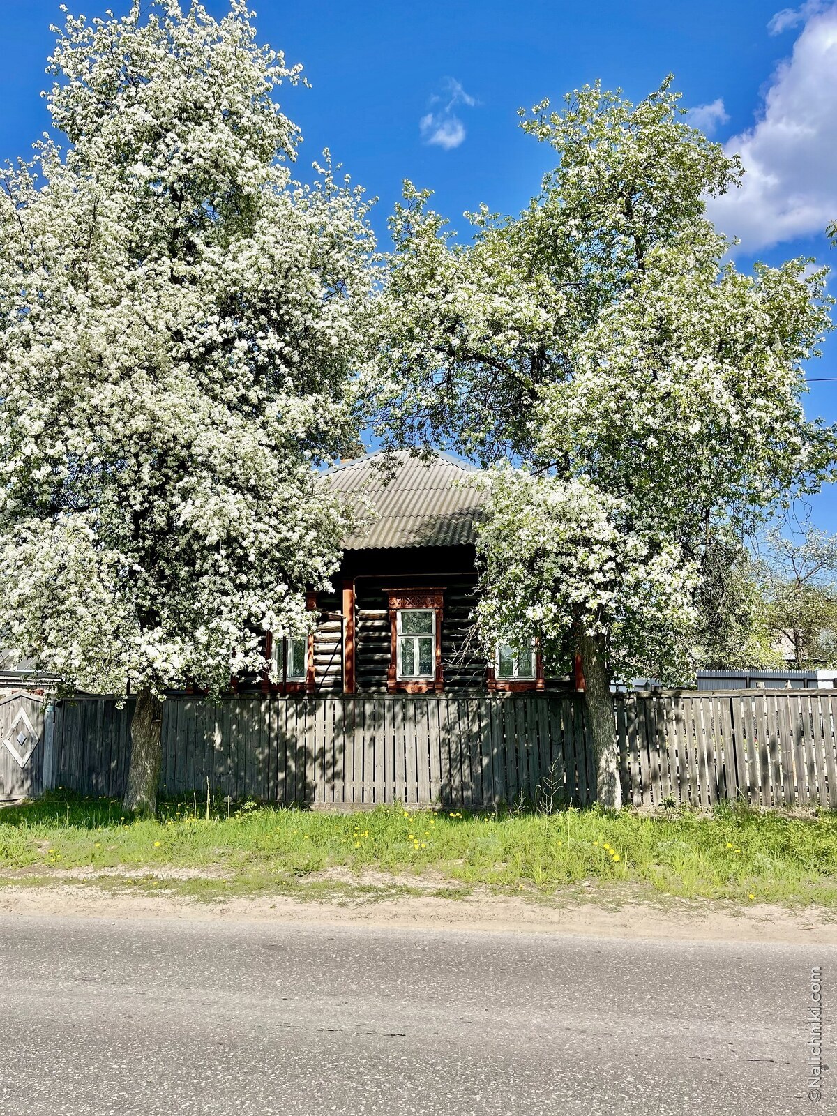 Семенов