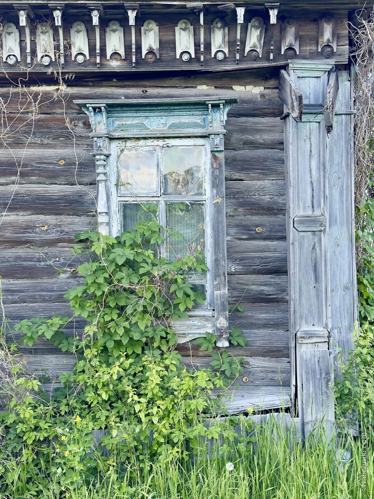 Сурское