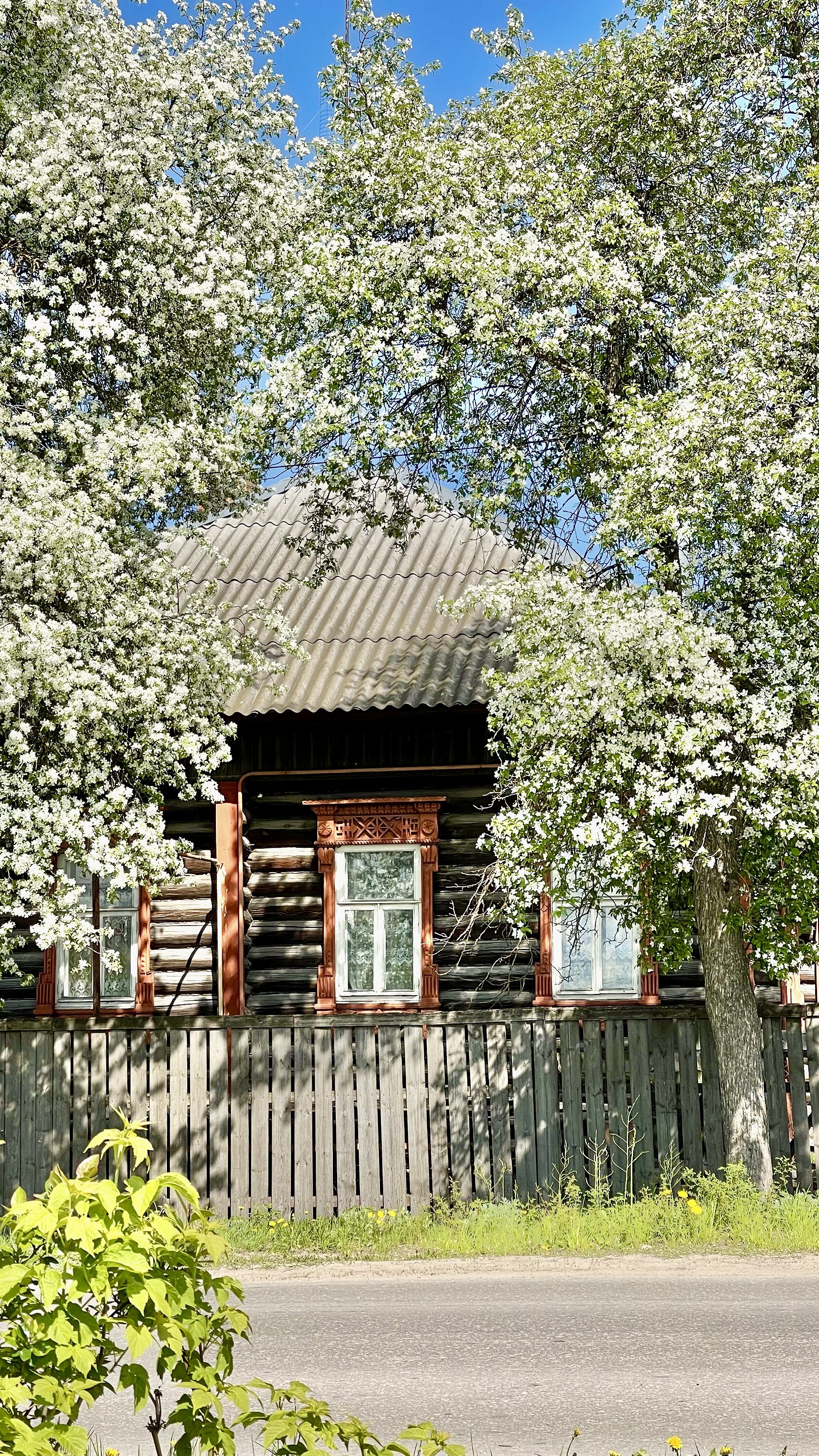 Семенов