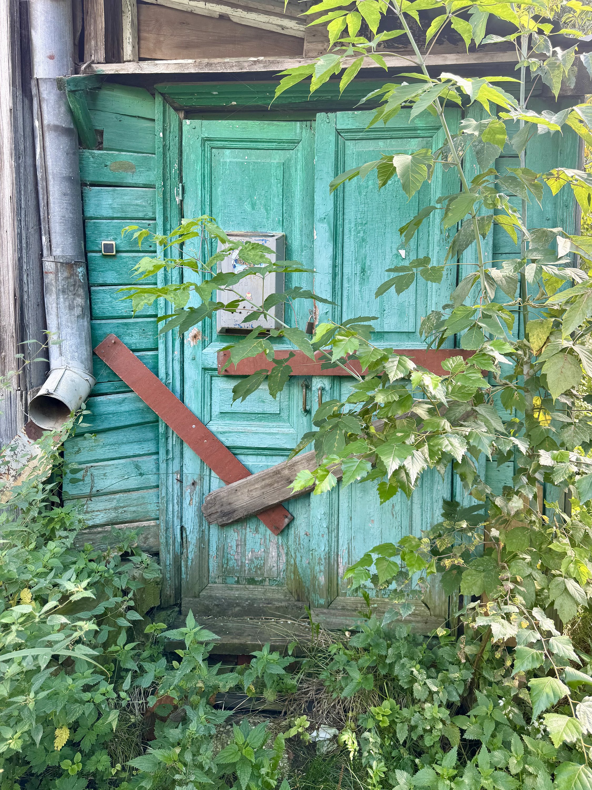 Владимир