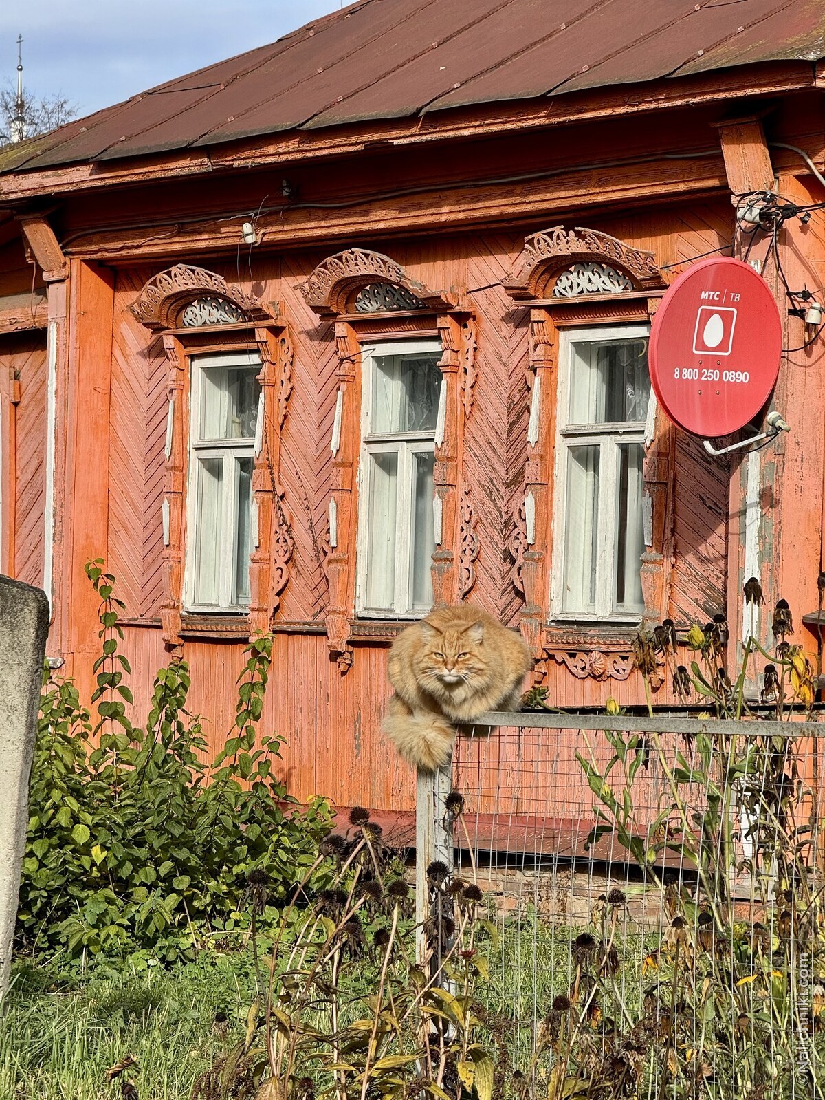 Мстёра