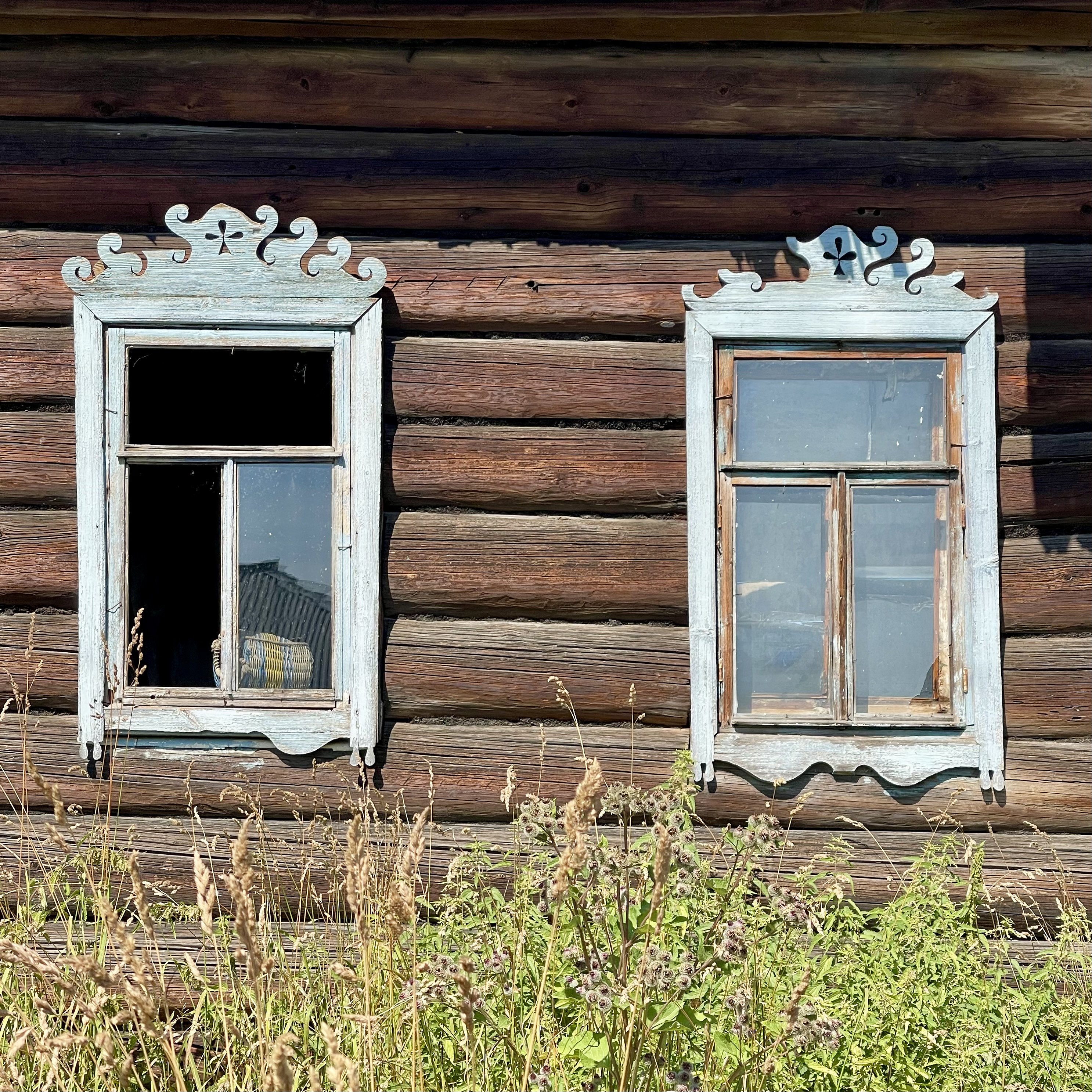 Редикор