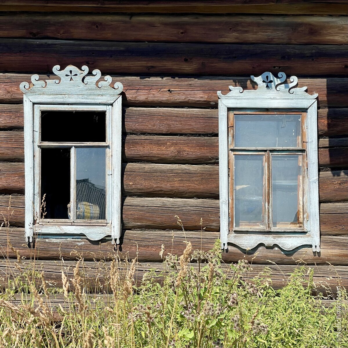Редикор
