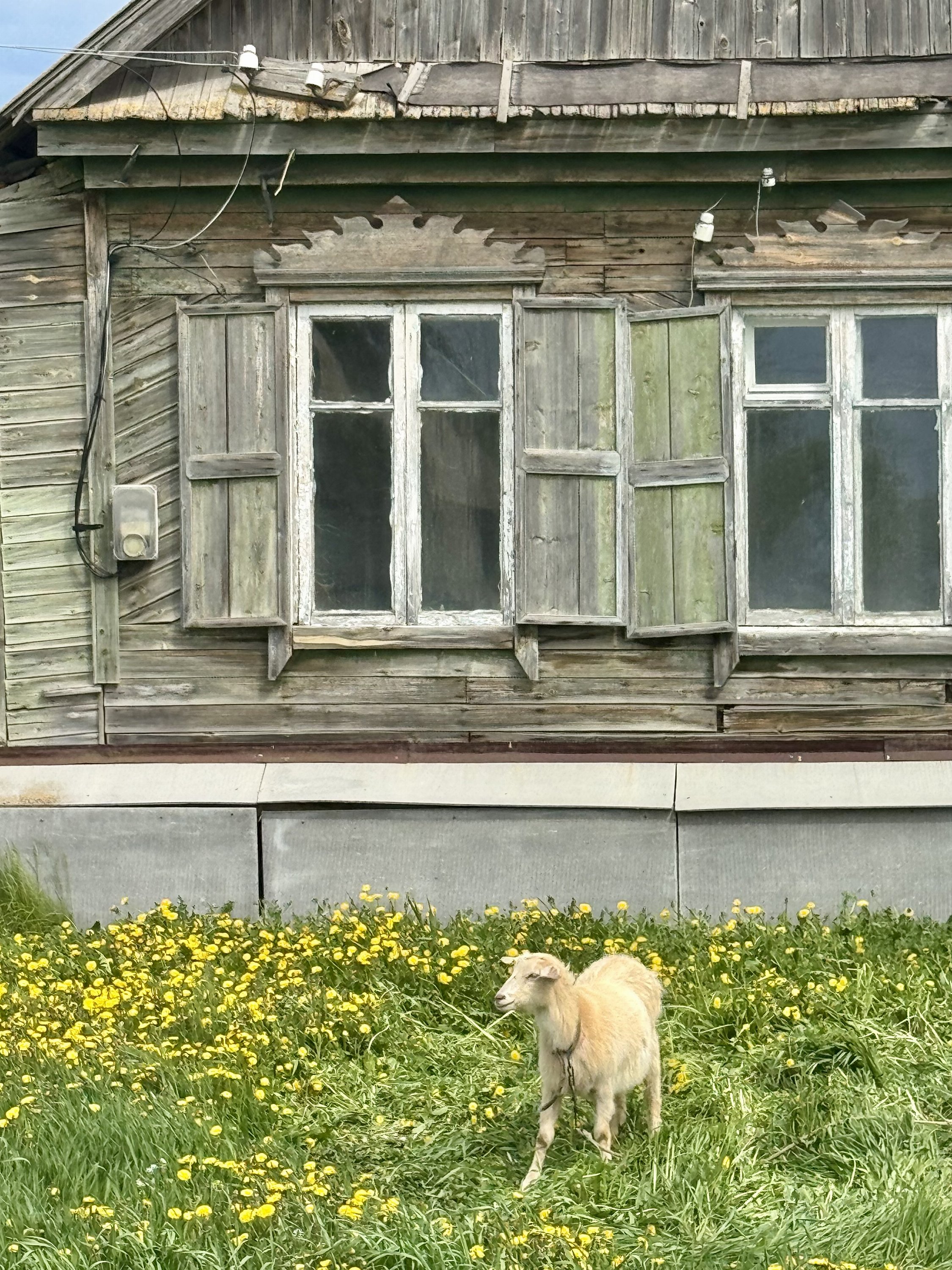 Марьевка