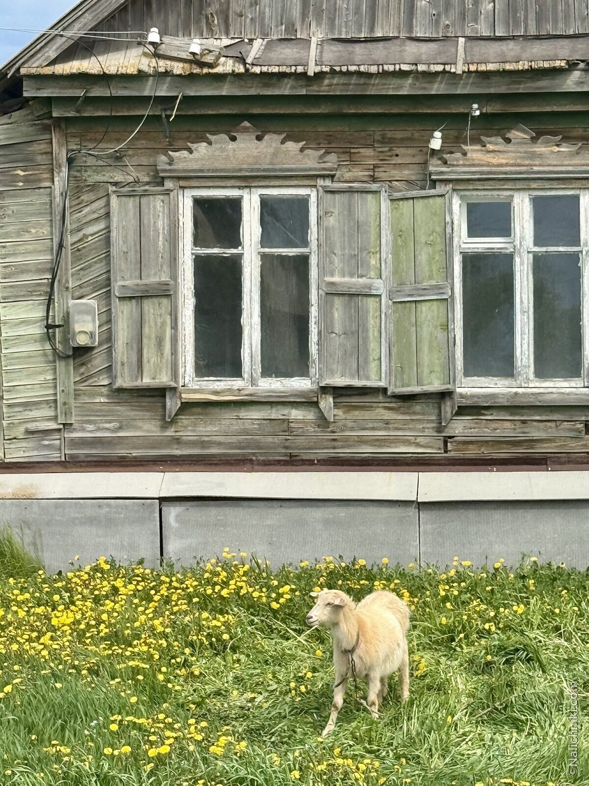 Марьевка