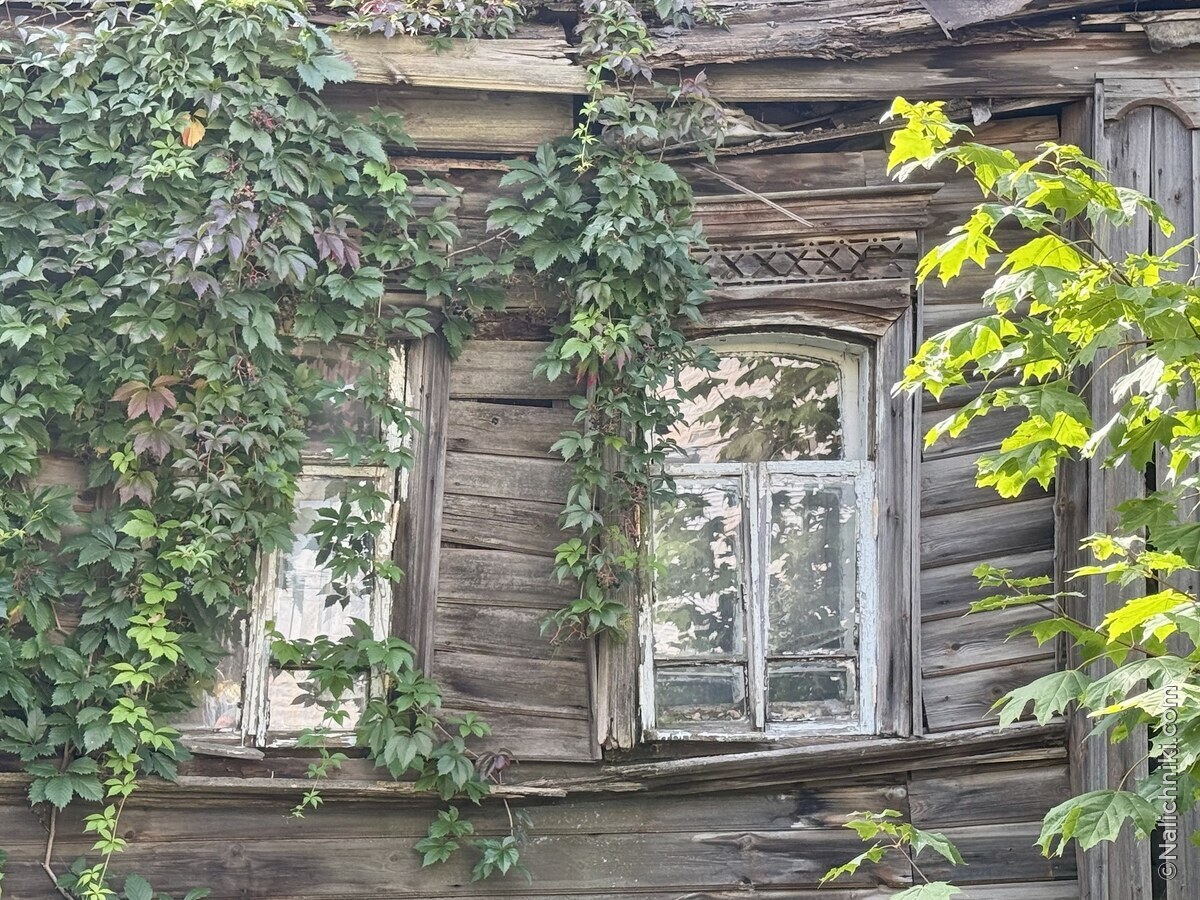 Владимир