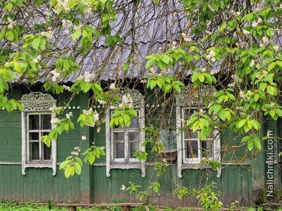 Новоржев