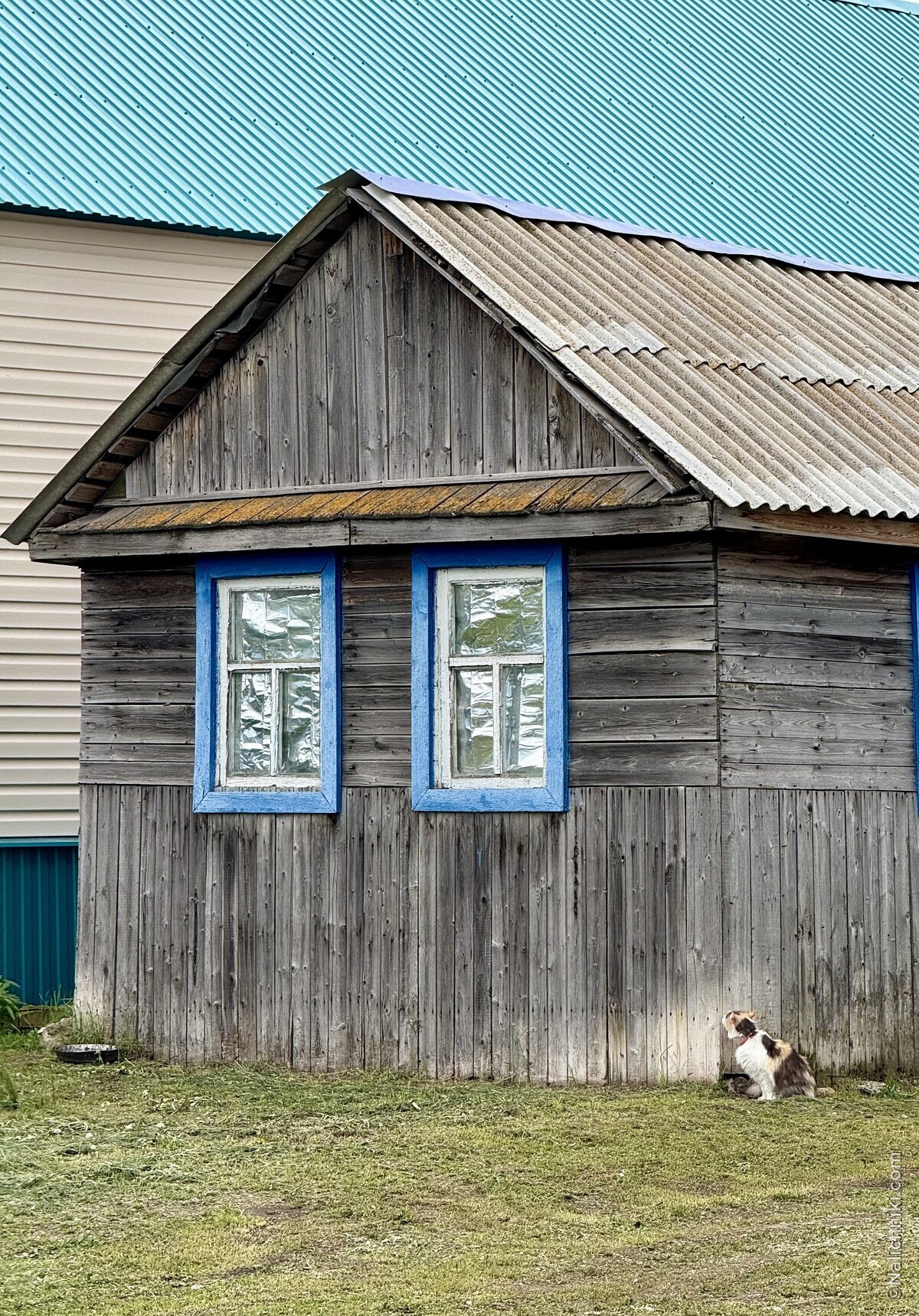 Марьевка