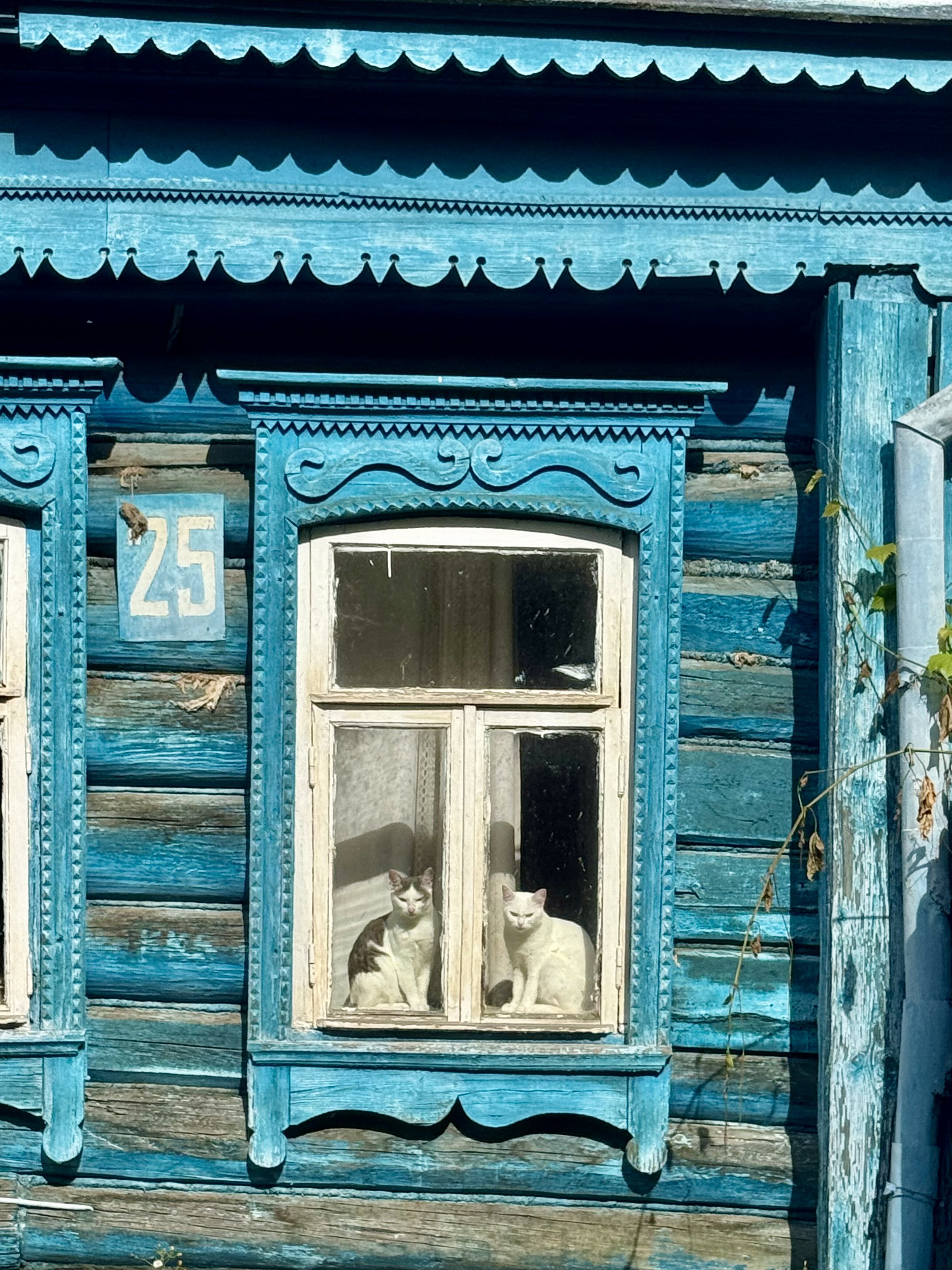 Владимир