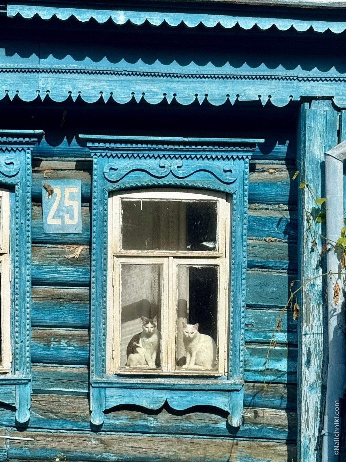 Владимир
