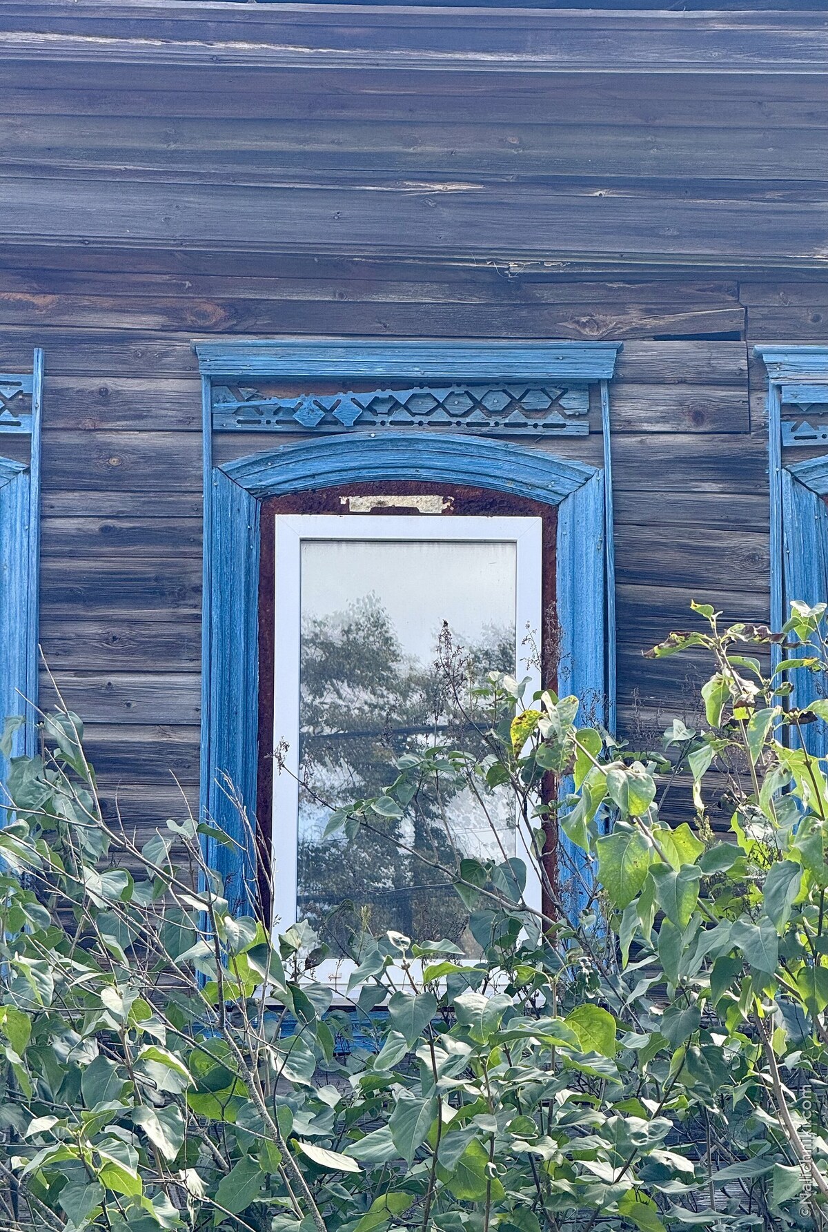 Владимир