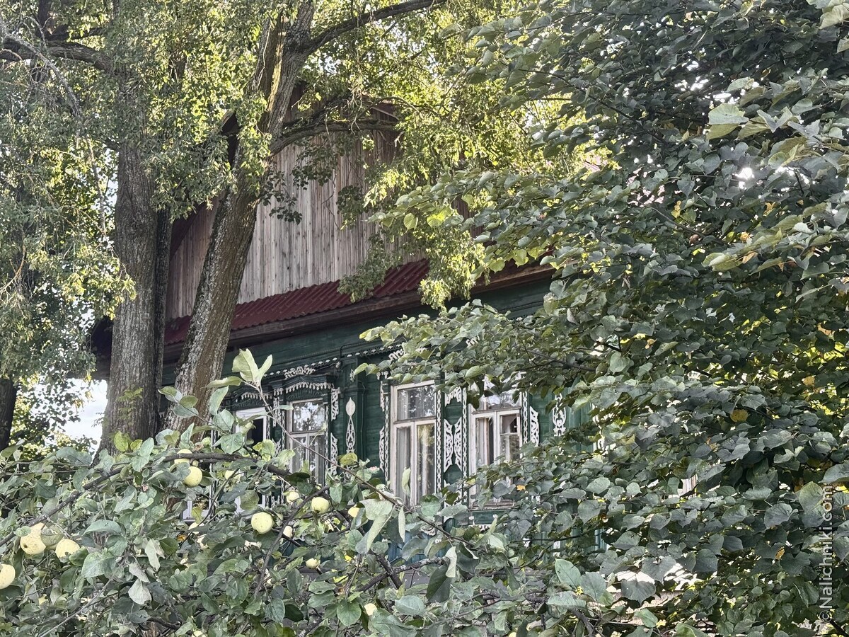 Новосельцево