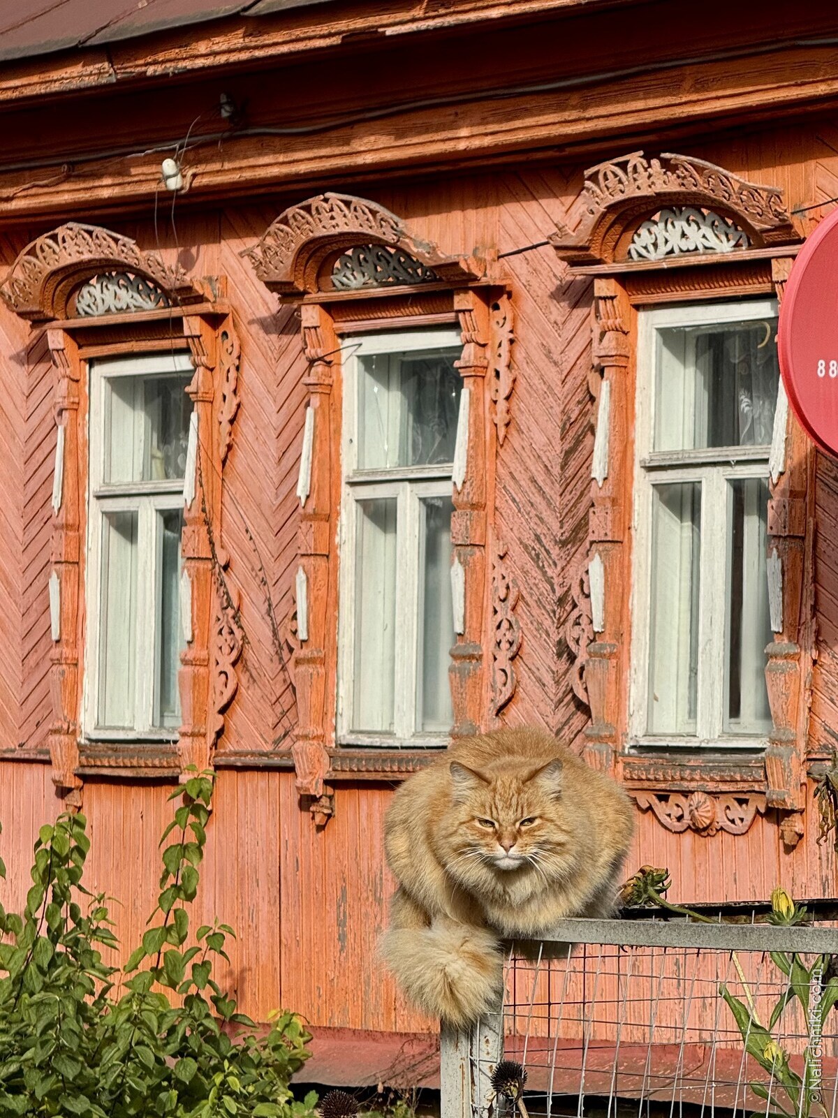 Мстёра