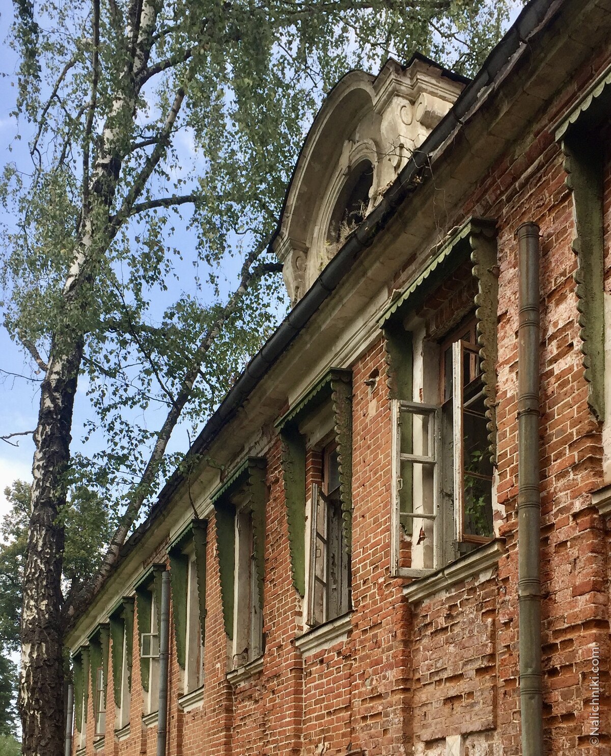 Попово