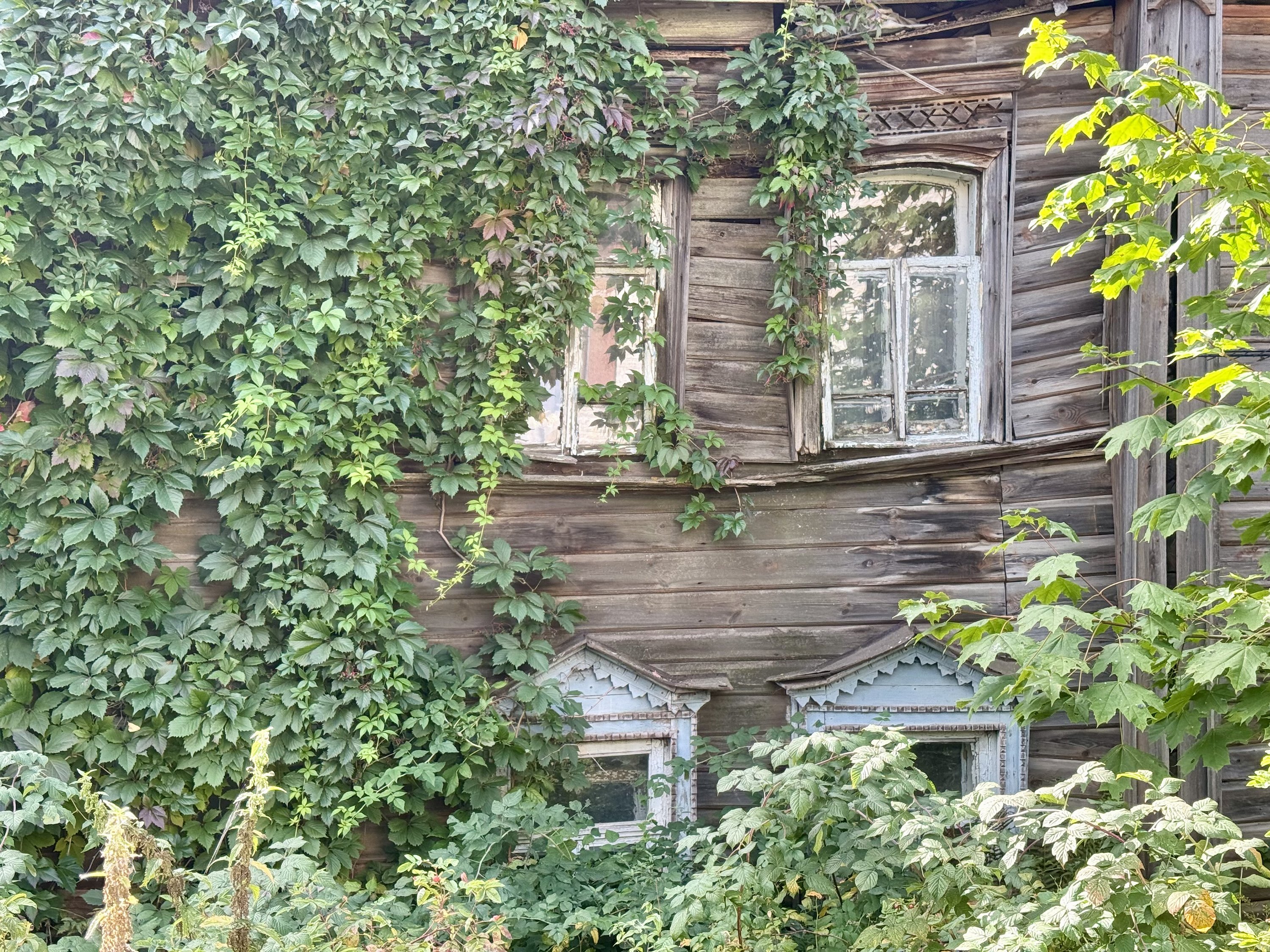 Владимир