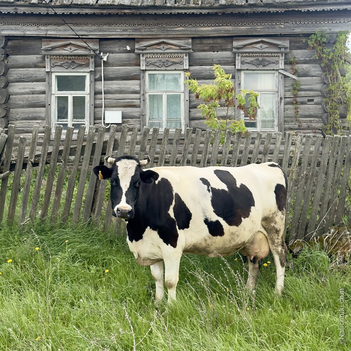Барыш