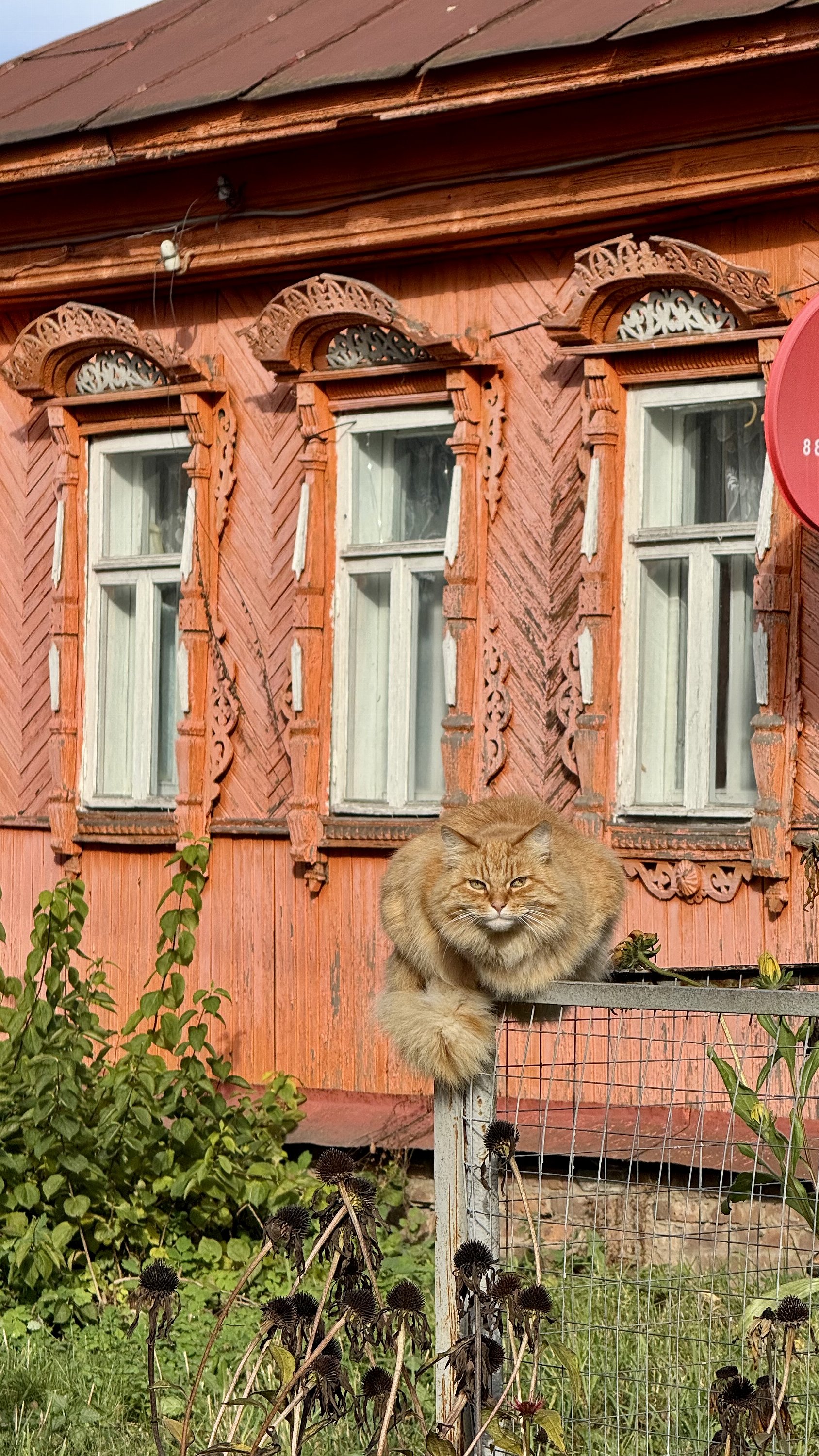 Мстёра